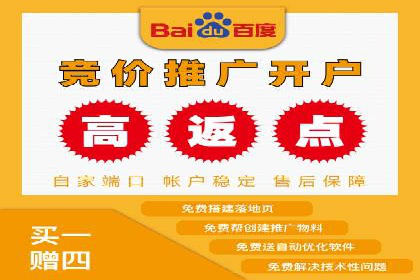 百度SEM代运营案例解析：精准锁定目标客户